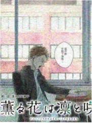 普者黑荷塘与喀斯特峰林全景